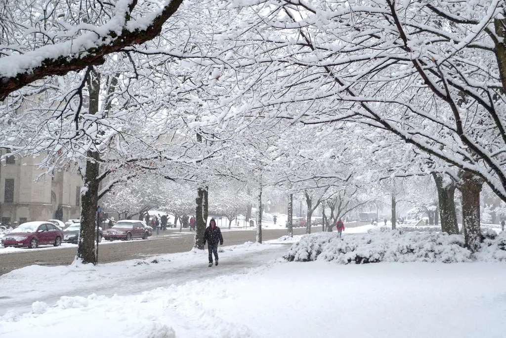 12 Tips to Get Through the Blizzard of 2017 with Tech